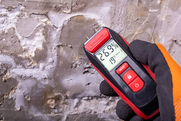 Best Certified Mold Removal  in , SC